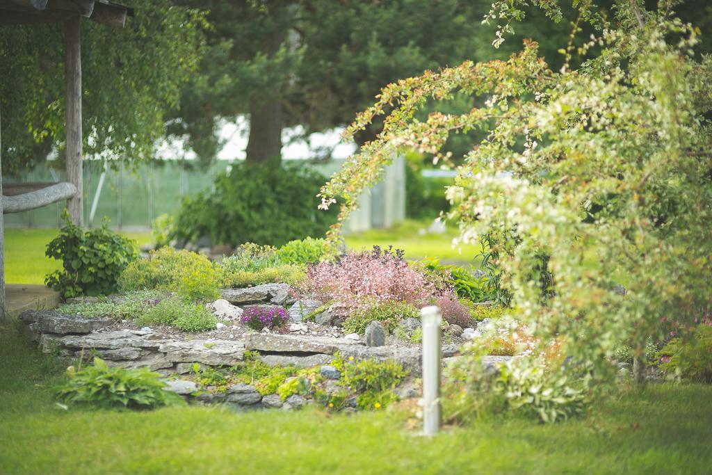 Arina Cottages Nasva Pokoj fotografie